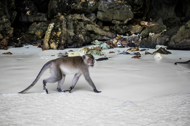 Phi Phi: Tour di un giorno intero in Longtail con tramonto e tour del plancton