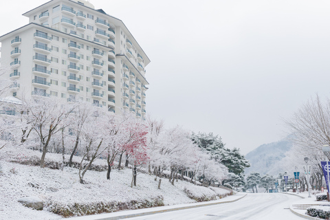 Från Seoul: Elysian Gangchon Ski Tour med Nami IslandSkidpaket - Möte vid Hongik Univ. Station