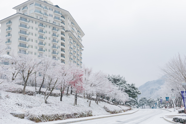 From Seoul: Elysian Gangchon Ski Tour with Nami Island Ski Package + Nami Island- Meeting at Hongik Univ. Station