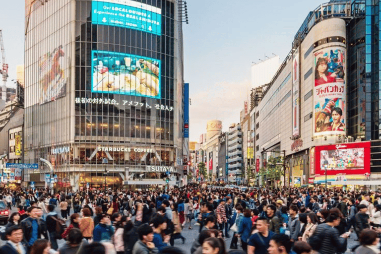 Tokyo Full Day Customizable Private Tour with English Guide