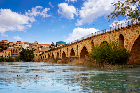 Zamora: Private Guided Tour