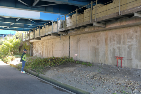 Takaoka: Mama-chari bike tour with Guide