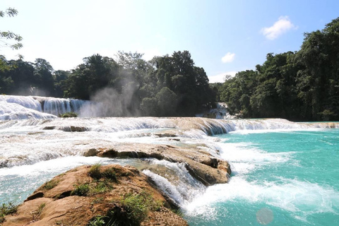 Au départ de Tuxtla Gutierrez : circuit de 4 jours à Palenque et au ChiapasDepuis Tuxtla Gutierrez : circuit de 4 jours à Palenque et au Chiapas