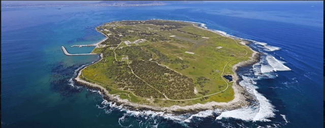 Cape Town: Robben Island and two Oceans Aquarium Day Tour