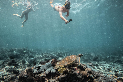 从巴厘岛出发：努沙佩尼达魔鬼鱼浮潜私人乘船观光共享游船之旅（含午餐，巴厘岛酒店接送服务）