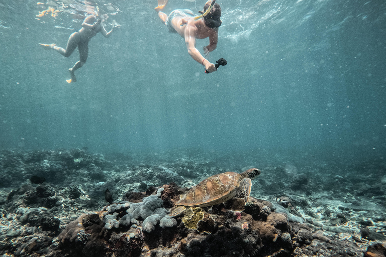 从巴厘岛出发：努沙佩尼达魔鬼鱼浮潜私人乘船观光共享游船之旅（含午餐，巴厘岛酒店接送服务）