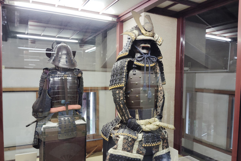 Kintai-Kyo Bridge and Iwakuni Castle with local guide 3h Jan 2025 Iwakuni