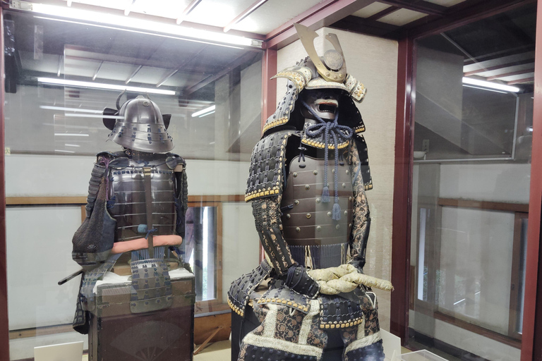 Kintai-Kyo Bridge and Iwakuni Castle with local guide 3h Jan 2025 Iwakuni