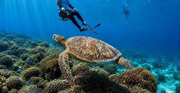 Gili Trawangan: 3-Island Snorkeling Tour with GoPro Photos