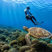 Gili Trawangan: 3-Island Snorkeling Tour with GoPro Photos