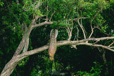 From Sigiriya: Lion Rock & Polonnaruwa Cultural Day Tour