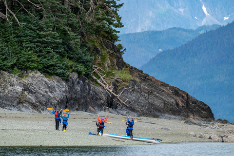 Juneau: Paddle with Whales Kayak Adventure