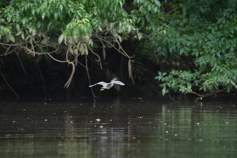 Khaolak: Little Amazon and Wat Khongkha Phimuk (Half Day)
