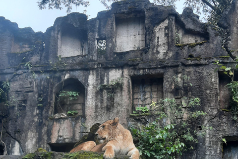 Jakarta : Taman Safari, Pandapalatset och vattenfall