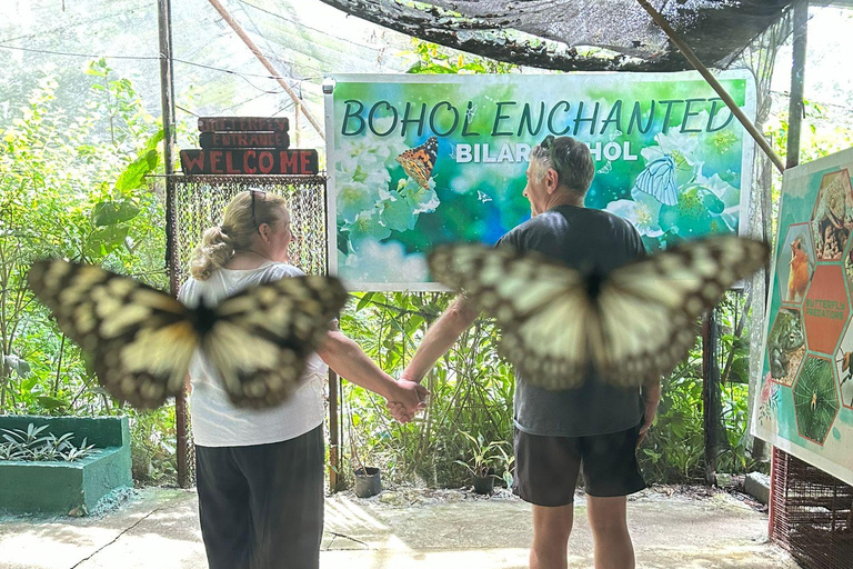 From Cebu: Bohol Countryside Tour Day Trip with Buffet Lunch