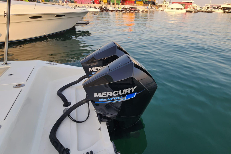 Doha: All Inclusive Guided Fishing Trip Doha: All Inclusive Guided Fishing Trip (1 to 7 people)