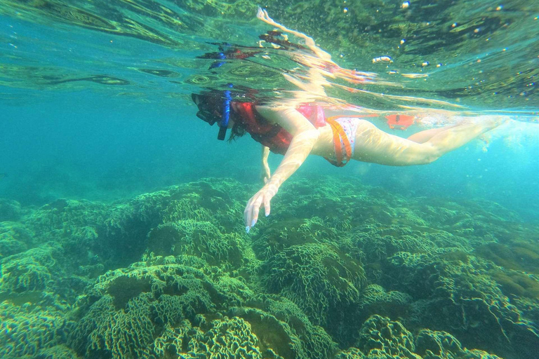 Da Nang/Hoi An: Private Cham Island Tour with Lunch Hoi An PRIVATE Transfers: Cham Island Snorkeling with Lunch