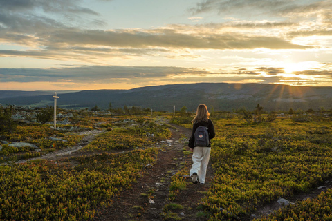 Arctic Wilderness Hike from Rovaniemi (Midnight sun/Sunset)