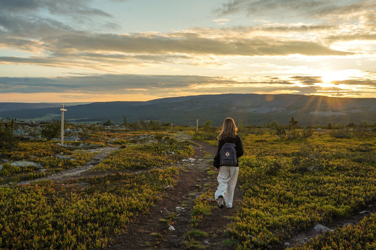 Arctic Wilderness Hike from Rovaniemi (Midnight sun/Sunset)