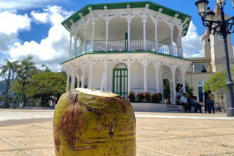 Puerto Plata: Monkey Jungle & City Tour Experience