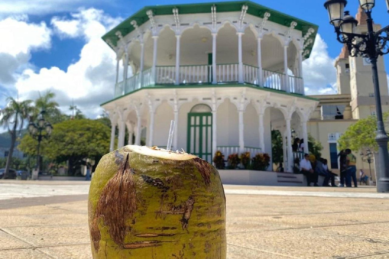 Puerto Plata: Monkey Jungle & City Tour Experience