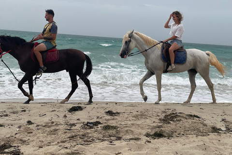 Djerba: 1 hour Horse riding on the beach.