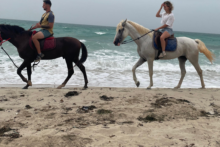 Djerba: 1 hour Horse riding on the beach.