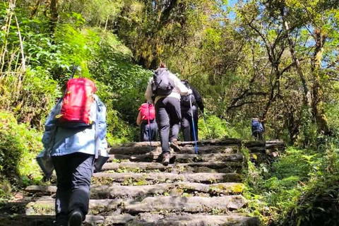 Pokhara: Annapurna base camp Trek with Female Guide