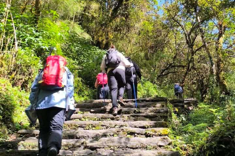 Pokhara: Annapurna base camp Trek with Female Guide