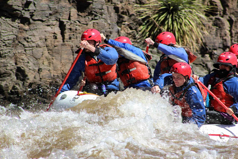 Salt River Half-Day Rafting Trip - Arizona
