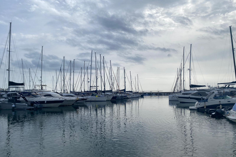 Estepona Altstadt Tour mit Tapas Verkostung