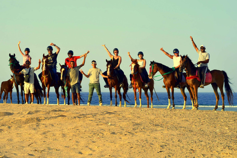 Marsa Alam : Randonnée à cheval dans le désert et la mer