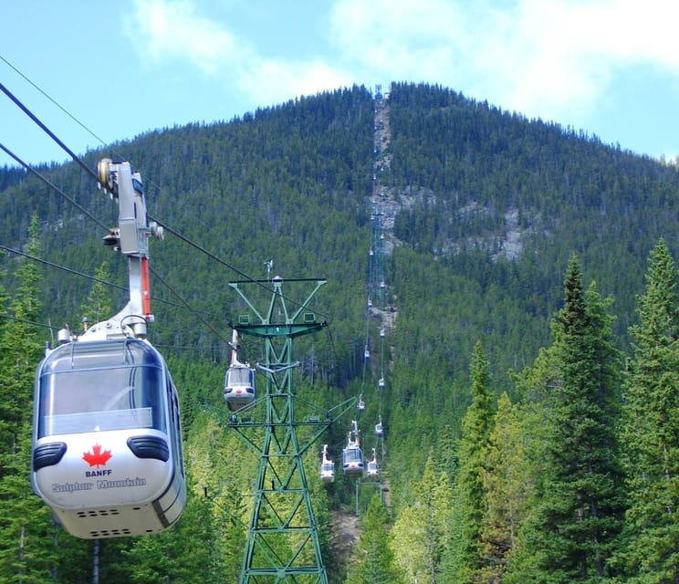 A Sulphur Mountain gondola cabin on its cable with forested mountain slopes behind