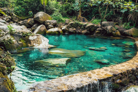 From Jakarta: Gunung Salak Waterfall & Rice Terrace