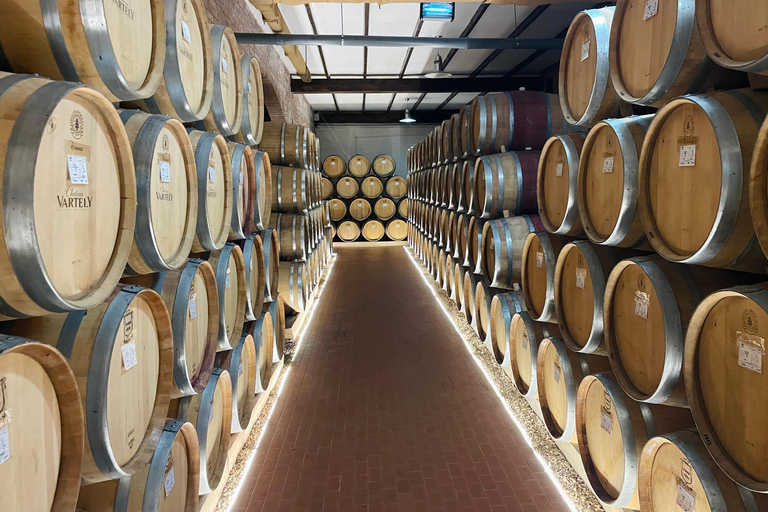 Desde Chisinau: visita a la antigua Orhei y a la bodega Chateau Vartely.Desde Chisinau: visita a la antigua Orhei y a la bodega Chateau Vartely