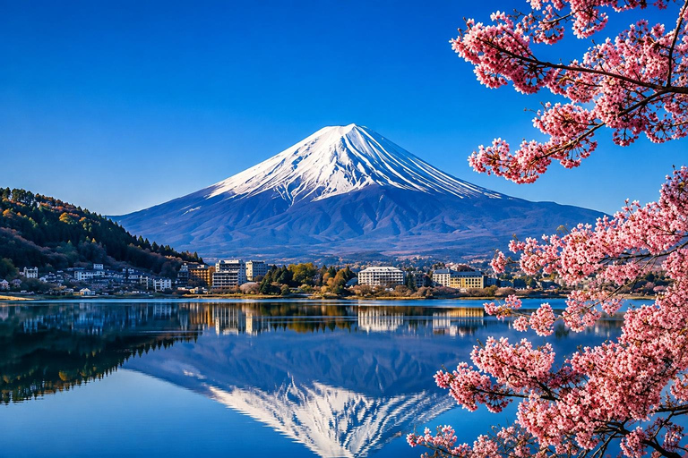 Tokyo:Mount Fuji Explorer Private Tour(Customised)With Guide