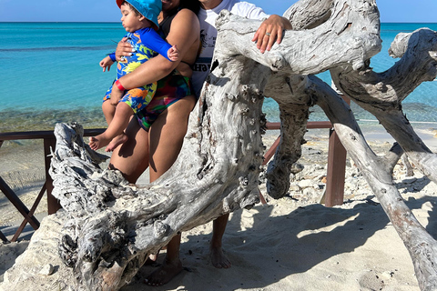 007-Mañana Todo Incluido Nadar con Cerdos en la Isla Rosa007 Todo Incluido-Nadar con cerdos en la Isla Rosa