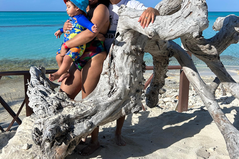 007-Mañana Todo Incluido Nadar con Cerdos en la Isla Rosa007 Todo Incluido-Nadar con cerdos en la Isla Rosa