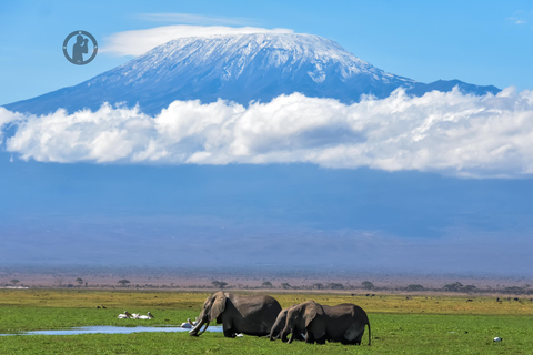 From Nairobi: 3-Day Amboseli and Tsavo West Safari