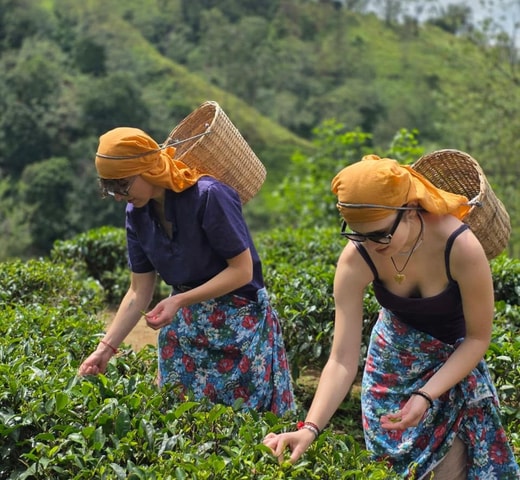 Kandy: privéreis naar Ella met thee, watervallen en boogbrug