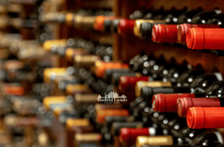 Madrid: Luxuriöse Weingut Emilio Moro Tour