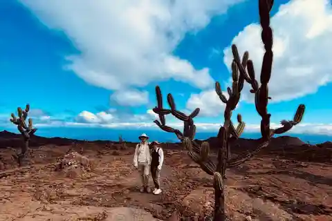 From Santa Cruz: 2-Day Isabela Island Trip with Volcano Hike