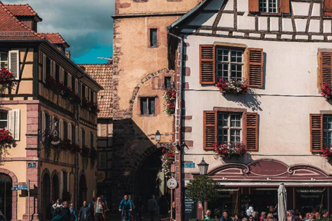 Desde Basilea: excursión de un día a Colmar, Hohkönigsburg, RibeauvilléDesde Basilea: excursión de un día a Colmar, Hohkönigsburg y Ribeauvillé