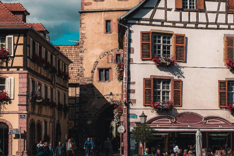 Desde Basilea: excursión de un día a Colmar, Hohkönigsburg, RibeauvilléDesde Basilea: excursión de un día a Colmar, Hohkönigsburg y Ribeauvillé