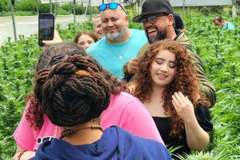 Medellín: A Nature Journey Into Medicinal Cannabis Option 1: Basic Educational Cannabis Tourism Experience