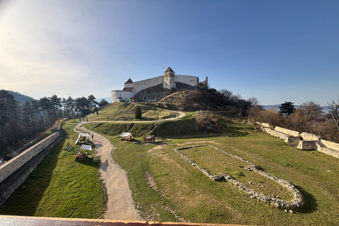 Brașov: Bran Castle, Bear Sanctuary, & Râșnov Citadel Tour