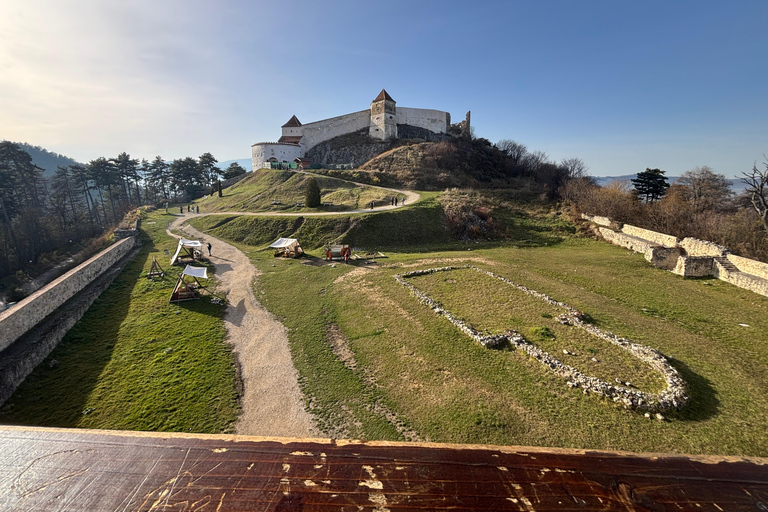 Brașov: Bran Castle, Bear Sanctuary, & Râșnov Citadel Tour