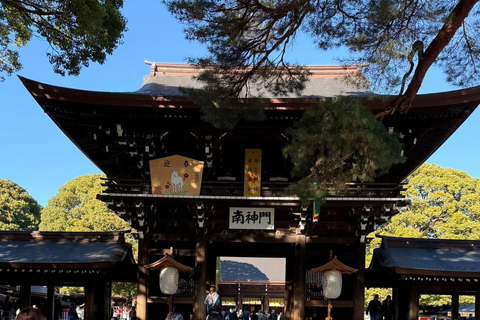 Tokyo Luxury Private City Tour Customizable with Guide