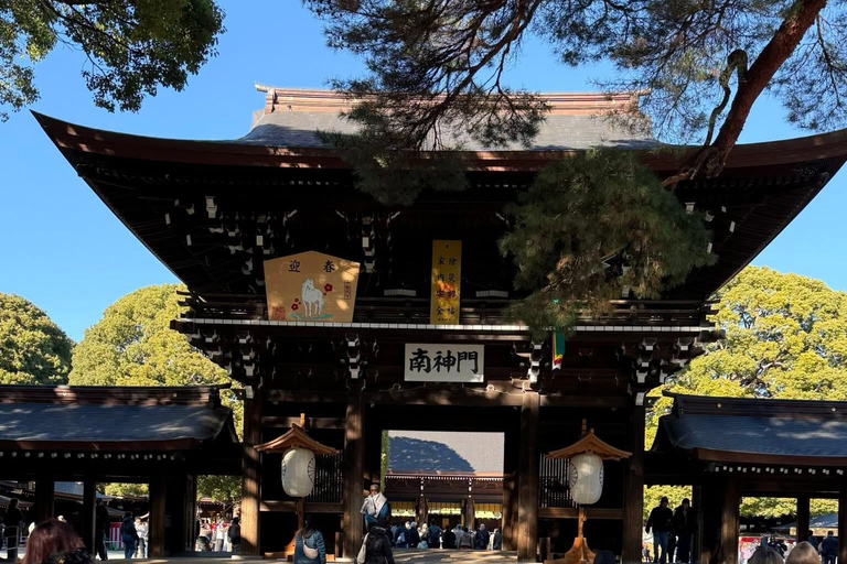 Tokyo Luxury Private City Tour Customizable with Guide