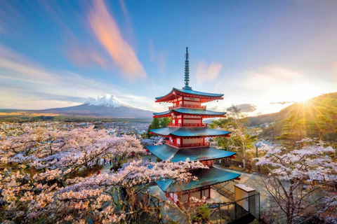 Tokyo, Mt. Fuji, Kyoto, Osaka: 7-Day Private Tour of Japan